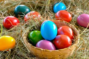 eggs 7022048 640