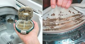 2 подправки от кухнята слагам на мястото на прахта и пералнята се чисти от всички боклуци с едно пускане 56 m 1424767c59413a5db0444269ab1b35