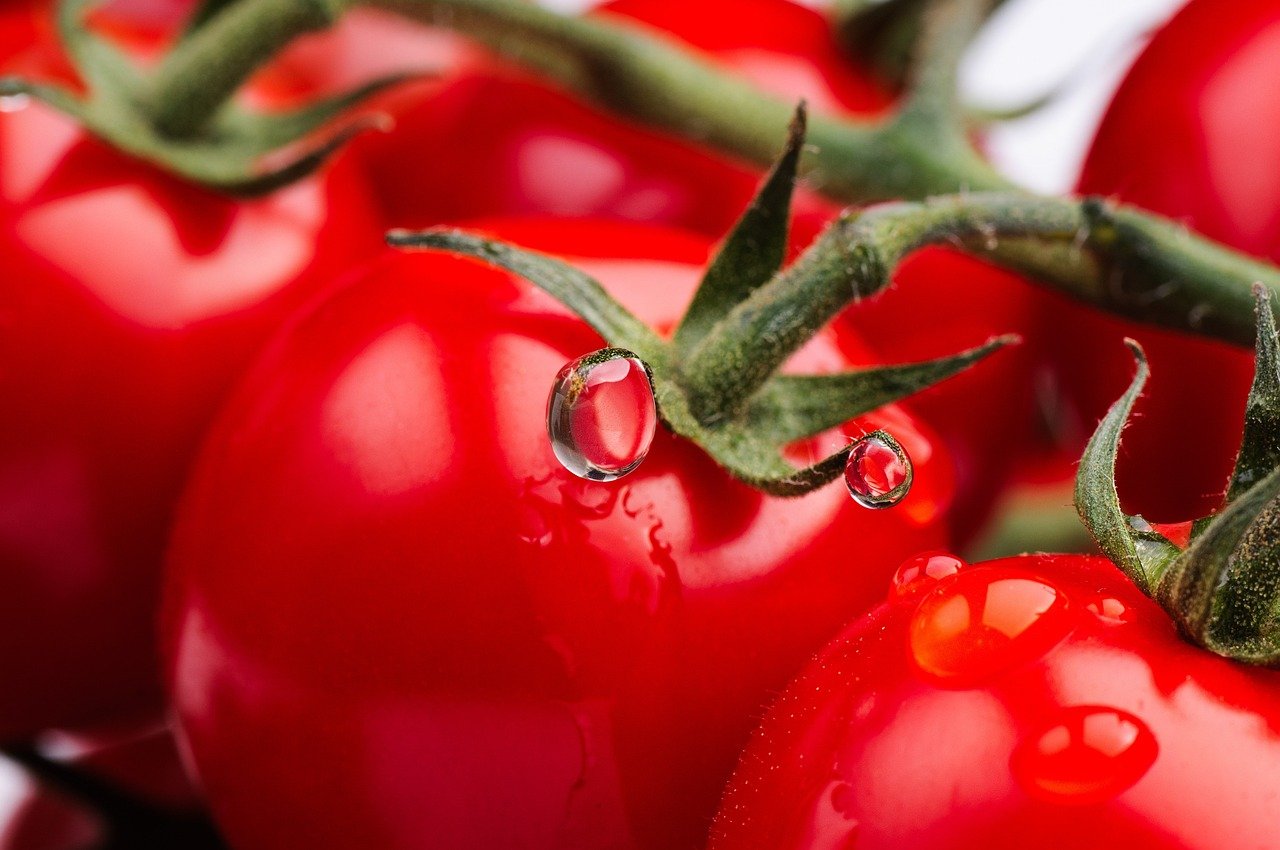 Как да различим ГМО домат: Всеки трябва да знае това 3 tomato 8304544 1280