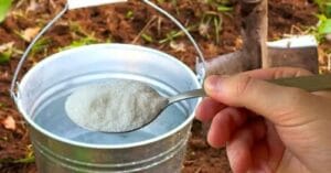 1 супена лъжица на кофа вода и почвата е като нова! Полейте ТАКА градината за обилна реколта от ВСИЧКО 42 487442903 1079104630919031 2853330668297668244 n