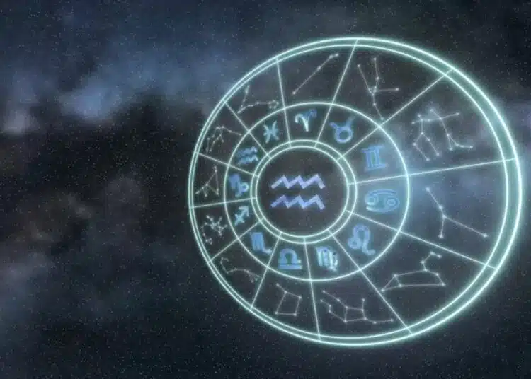 zodii 22